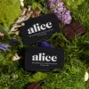 Alice Nightcap Chocolate