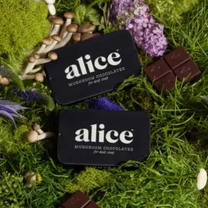 Alice Nightcap Chocolate
